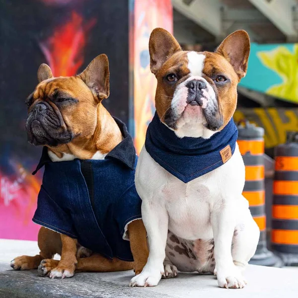 Canada Pooch Worker Dog Jacket 14
