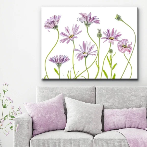 Ready2HangArt Cape Daisies I Canvas Wall Art