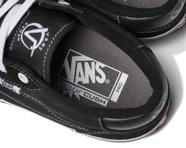 Vans Rowan Pro (Black/White) 8