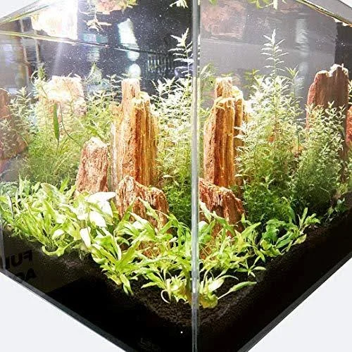 Lifegard Ultra Clear Crystal Aquarium - Medium