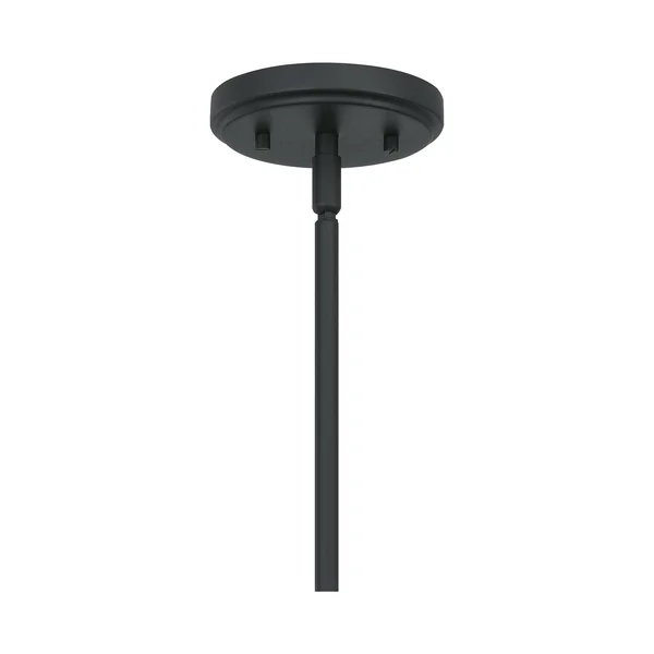 Quoizel Bimini 1-Light Earth Black Outdoor Hanging Lantern, BIM1908EK