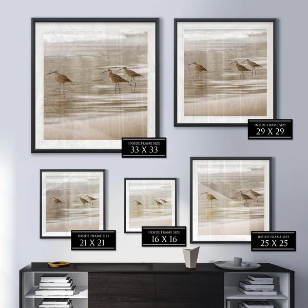 Shore Birds I -Framed Giclee Print - 28x28