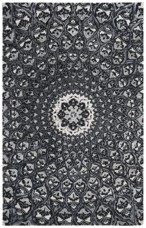 Safavieh 4& x 6& Alr-Allure ALR419Z Ivory - Black Rug