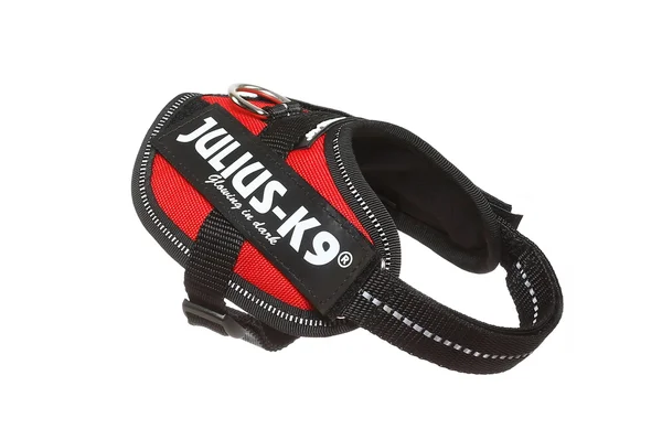 Julius-K9 IDC Powerharness Dog Harness, Blue, Size 2