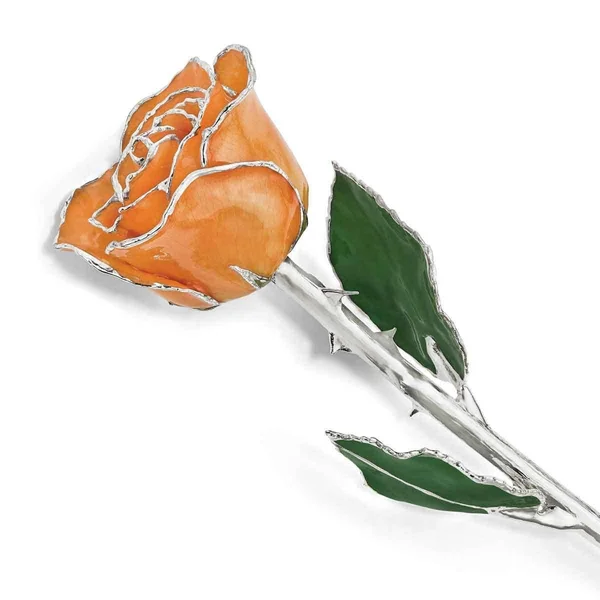 Lacquer Dipped Silver Trim Orange Rose