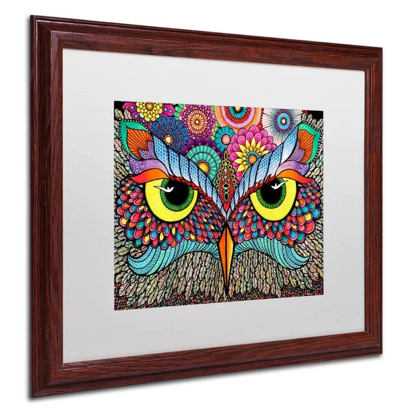 Trademark Fine Art Owl Face by Hello Angel - White Matte, Wood Frame 16x20-Inch, Assorted