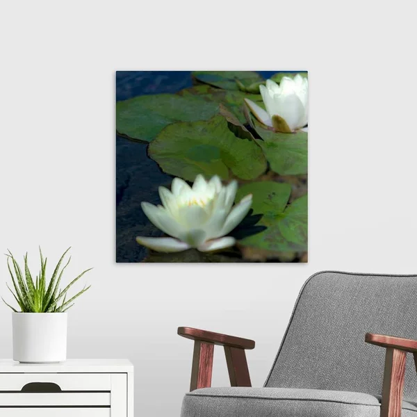 Water Lilies I - Canvas Wall Art, 20x20, Great Big Canvas