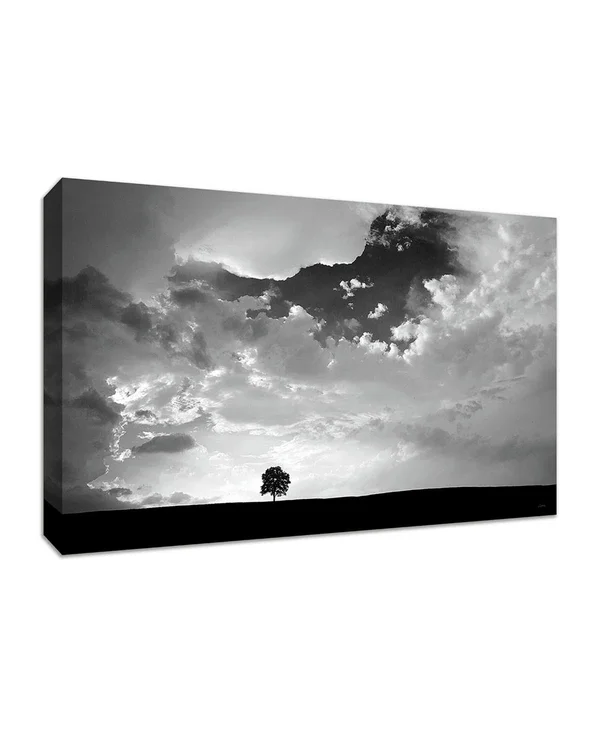 Tangletown Fine Art Lone Tree by Aledanda Fine Art Giclee Print on Gallery Wrap Canvas, 45x22 x 30x22 - Multi