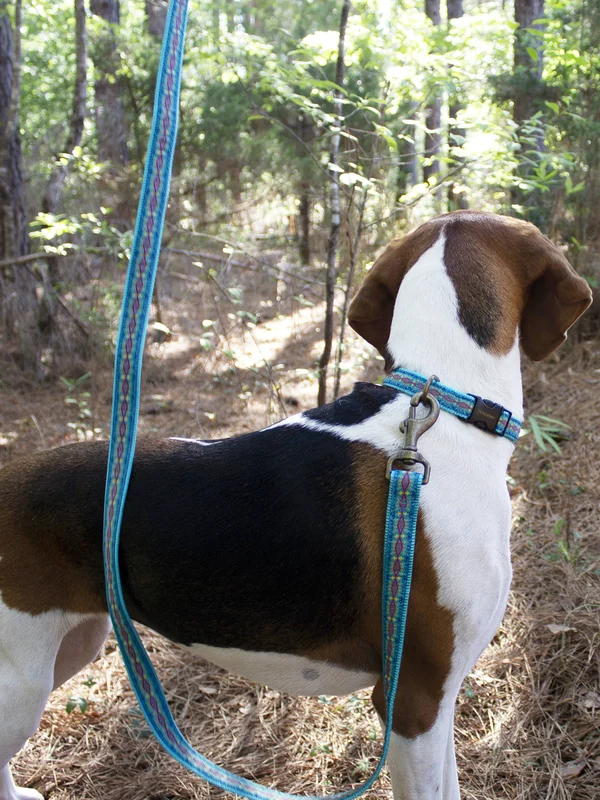 Pendleton Pet Diamond River Leash - Turquoise