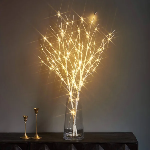 Litbloom Lighted White Twig Branches with Timer Battery Operated Tree Branch with Warm White Lights for Holiday and Party Decora