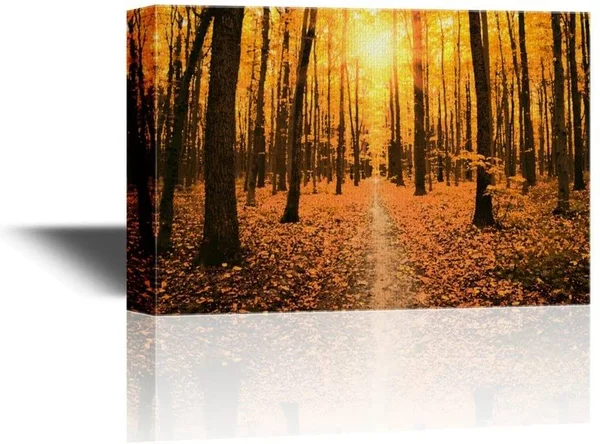 Wall26 - Canvas Wall Art - Landscape with Path in Yellow Forest in Autumn at Sunset - Gallery Wrap Modern Home Decor, Ready to