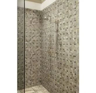 Toto TS300A61#PN 5-1/2-Inch Traditional Collection Series A Single-Spray Showerhead - Polished Nickel