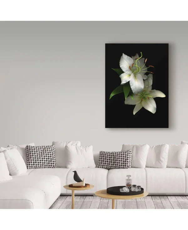 Trademark Art Susan S. Barmon 'White Lilies 2' Canvas Art