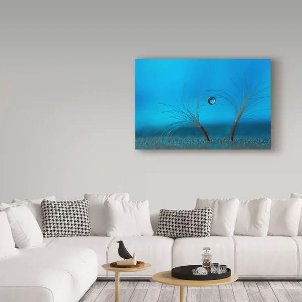 Trademark Art Heidi Westum 'Keep The Balance' Canvas Art