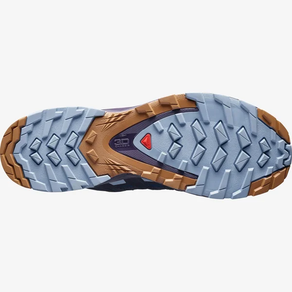 Salomon Women's XA Pro 3D V8, 7.5, Poseidon/Violet Indigo/Forever