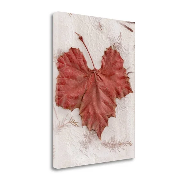 27x22 x 21x22 Floral - 31 by Alan Blaustein Fine Art Giclee Print