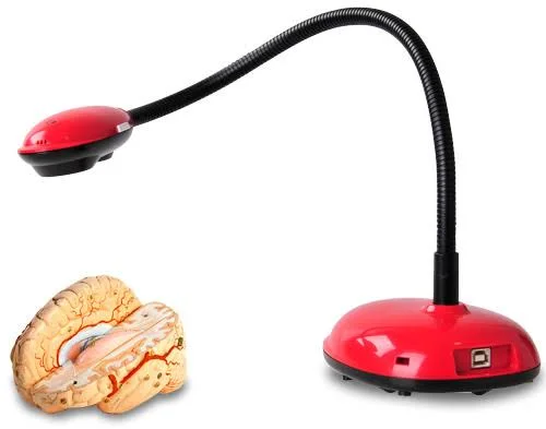 Lumens DC120 Ladibug Document Camera