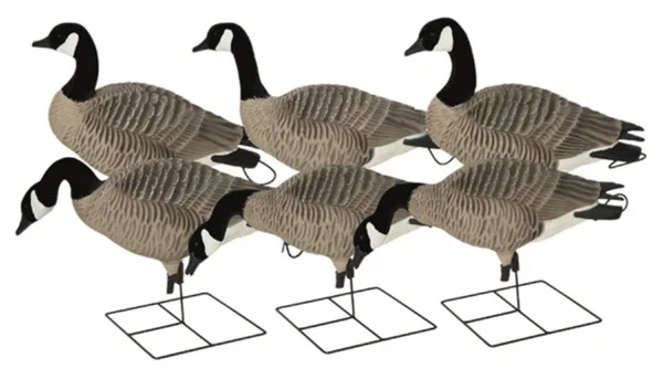 GHG XD Series Pro Grade Canada Goose Decoy Harvester Pack of 6