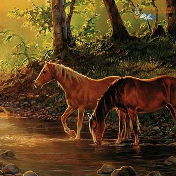 Stillwater Creek - Horses Wrapped Canvas by Chris Cummings