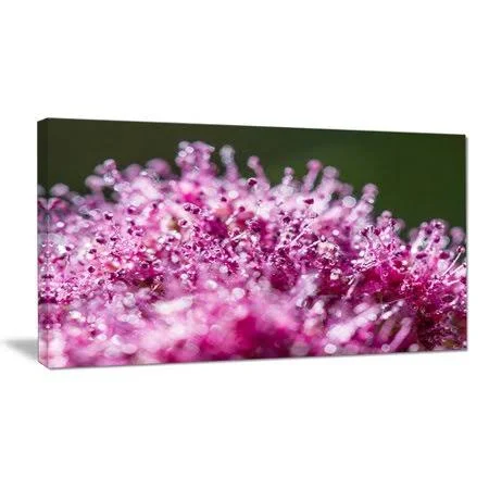 Design Art Pink Little Flowers Close-up View - Large Floral Wall Art Canvas - 40 in. Wide x 20 in. High