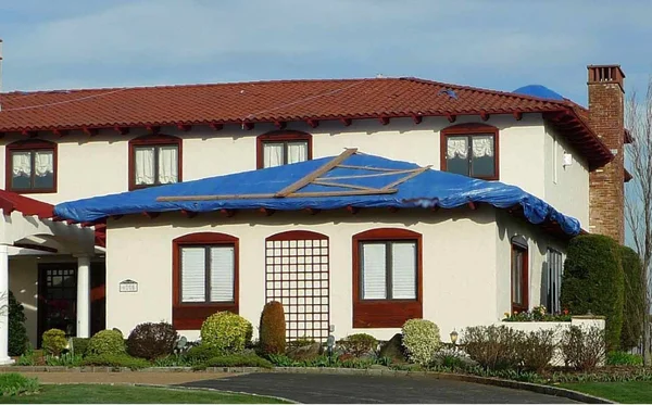 Kotap 100-ft x 100-ft General Purpose Blue Poly Tarp, Item: TRA-10100