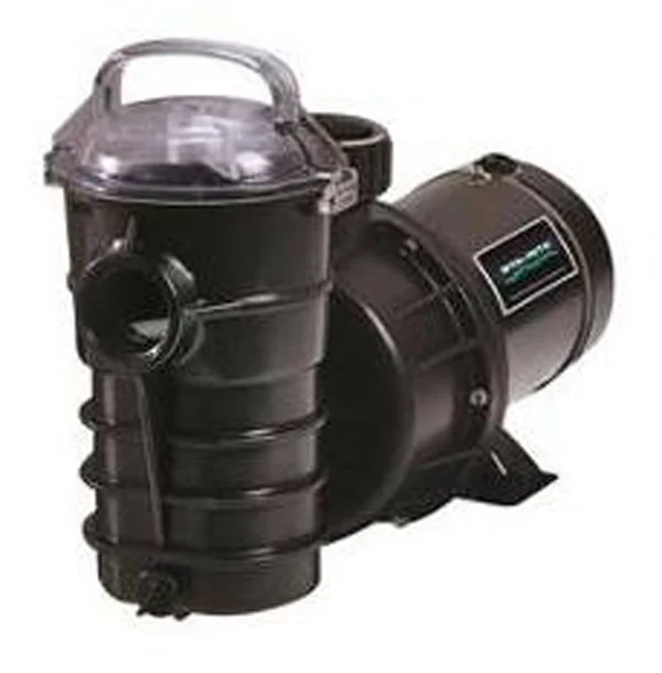 Pentair 340219 2 HP Dynamo Above Ground Swimming Pool Pump, Black