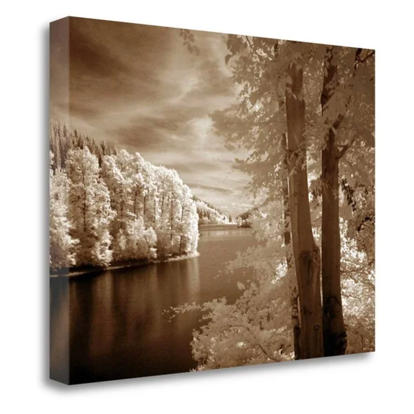 Tangletown Fine Art A View to Remember Giclee Print on Gallery Wrap Canvas by ILY Szilagyi