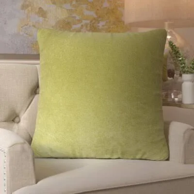 Square Velvet Throw Pillow Everly Quinn Size: Large - Color: Apple - Green