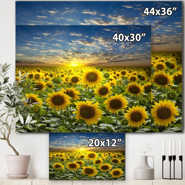 Design Art Field of Blooming Sunflowers Photographic Print on Wrapped Canvas, Green
