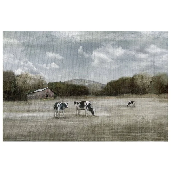 Country Satisfaction by Nan Wrapped Canvas Painting Art Print, Size: 24 x 36