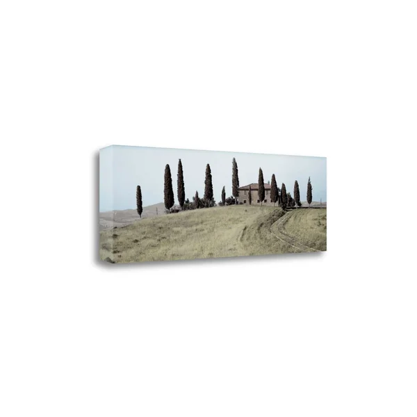 Tangletown Fine Art Val De Orcia Pano - 1x22 by Alan Blaustein, Giclee Print on Wrap Canvas, 47x16x22