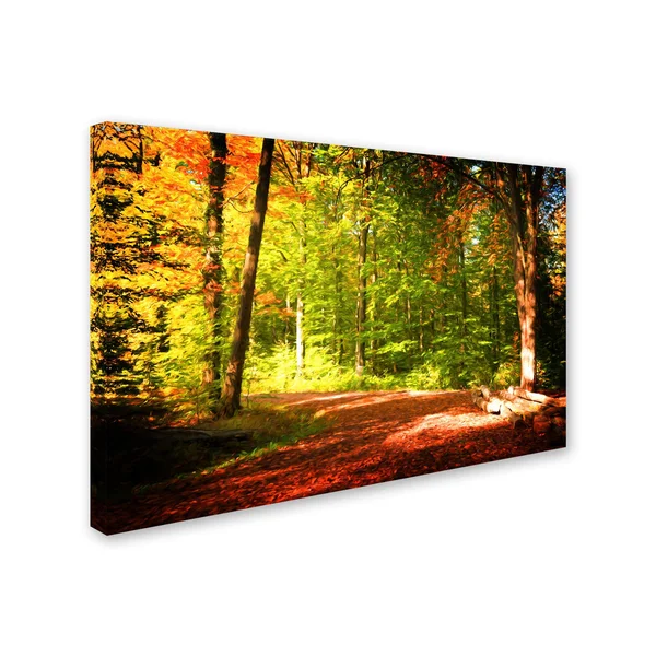 Trademark Art &Breaking The Fall Silence& by Philippe Sainte-Laudy Painting Print on Wrapped Canvas Size: 30x22 H x 47x22 W x 2x